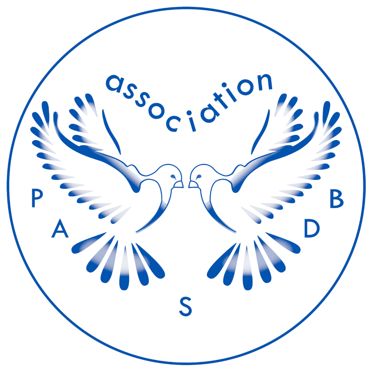 Association 12