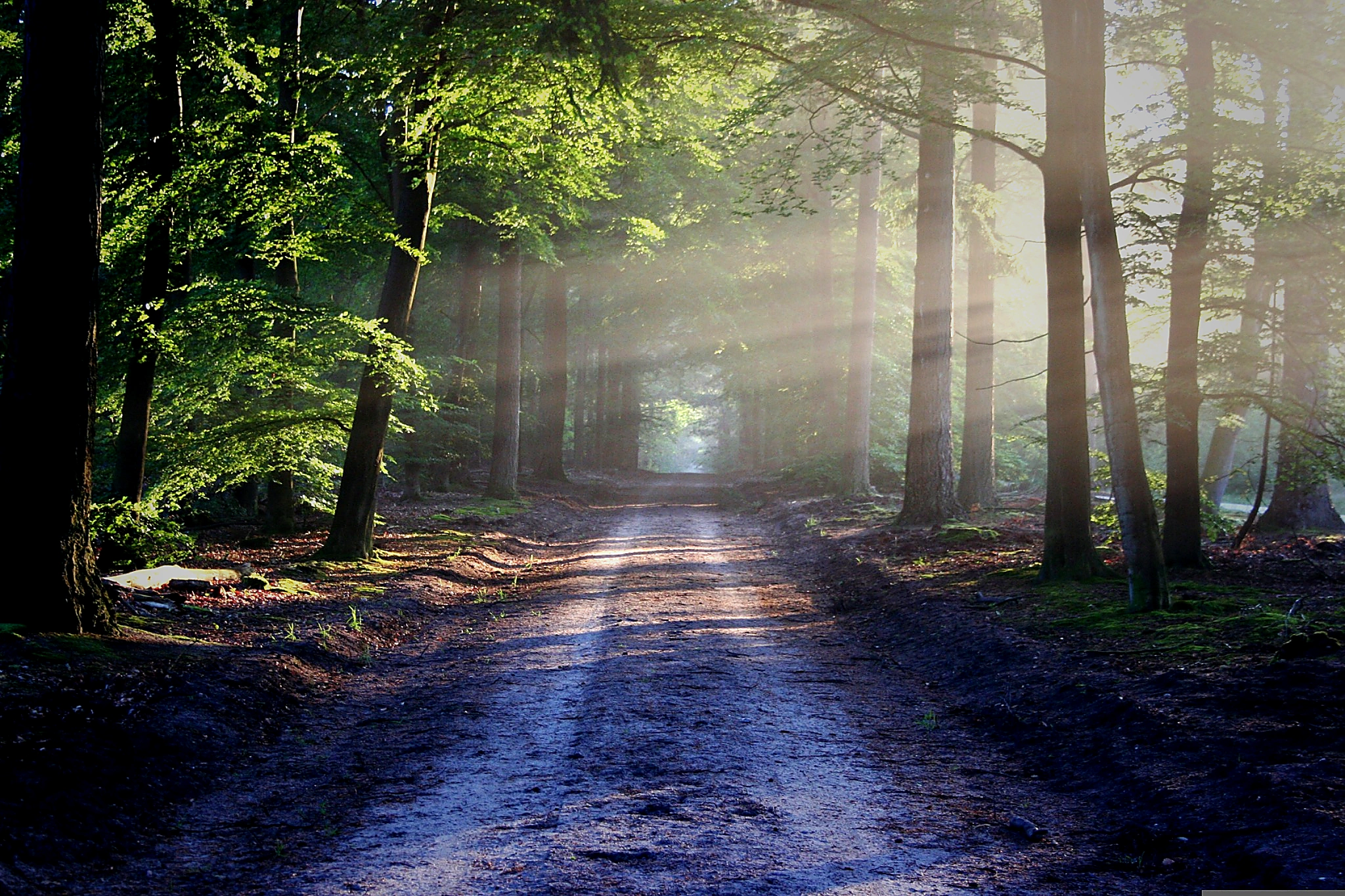 Comment continuer à vivre quand notre monde s’effondre après la mort d'un être cher ? 